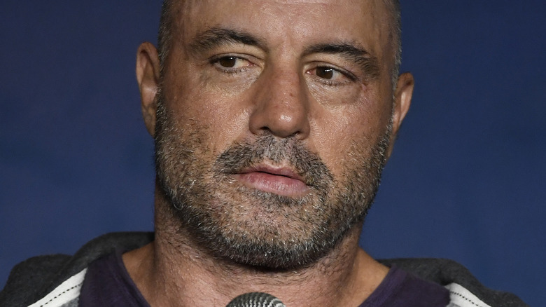 Joe Rogan performing comedy 