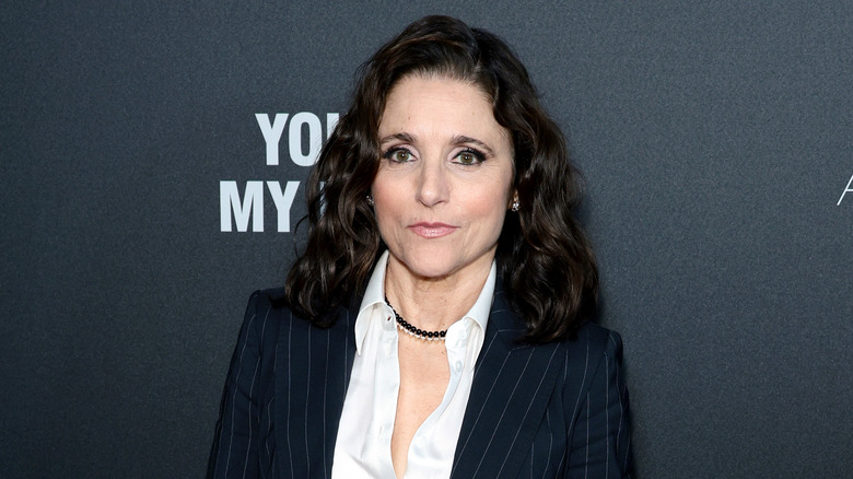 Julia Louis-Dreyfus pinstripe suit
