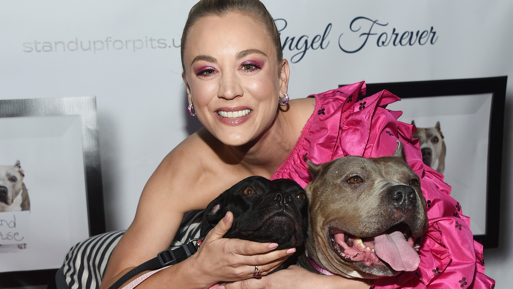 Kaley Cuoco at an event with dogs 
