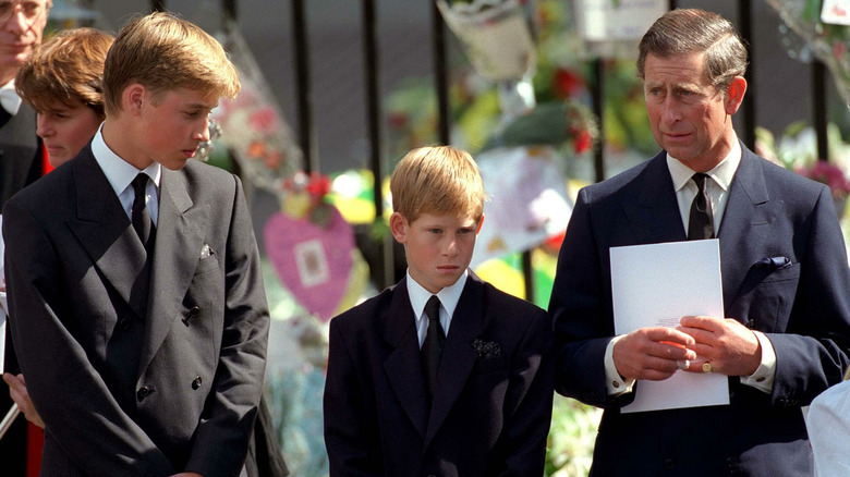 Prince William, Prince Harry, and Prince Charles at Princess Diana's funeral