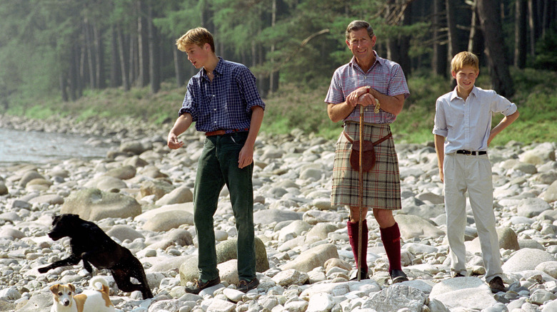 Prince Charles, Prince William and Prince Harry standing on rocks