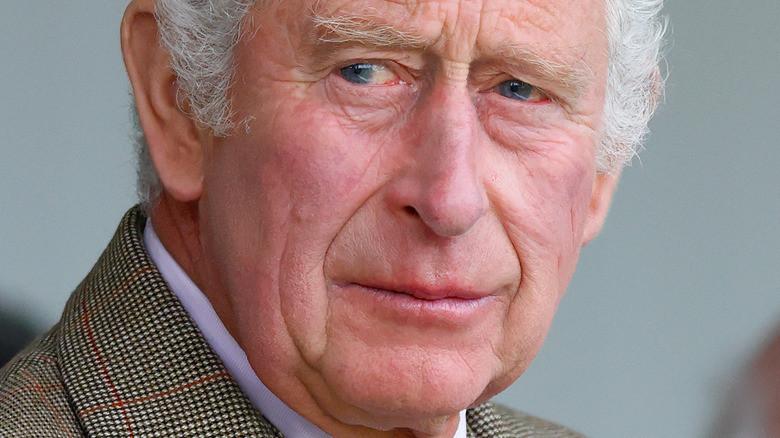 Prince Charles with a neutral expression