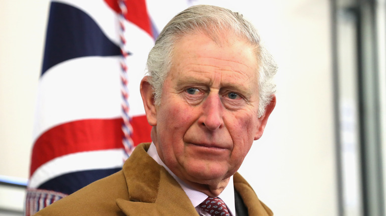 Prince Charles in front of a flag