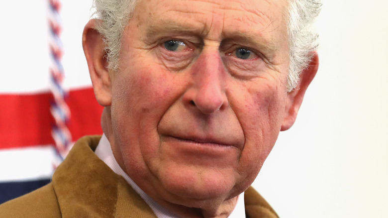 King Charles II in brown coat 
