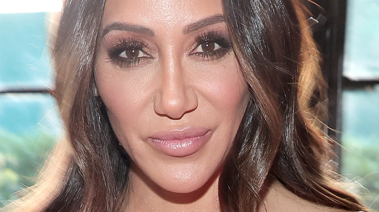 Melissa Gorga pink lip