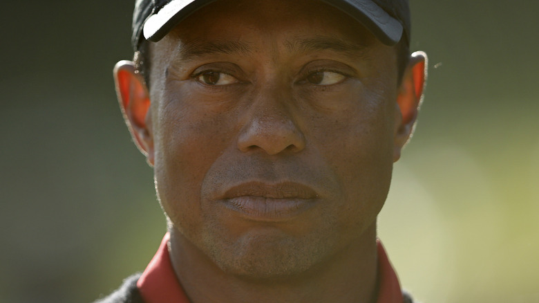 Lawyers Unpack Erica Herman's Staggering $30 Million Suit Against Tiger ...