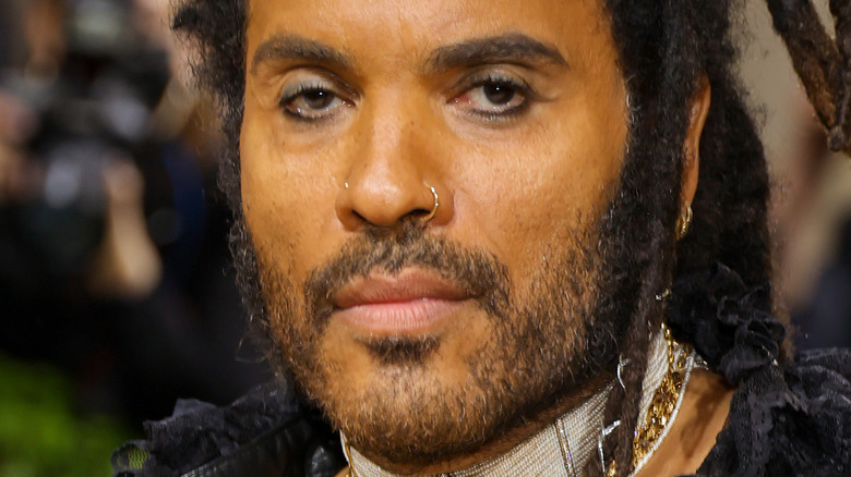 Lenny Kravitz serious 