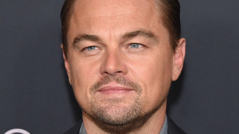 Leonardo DiCaprio smiles on red carpet