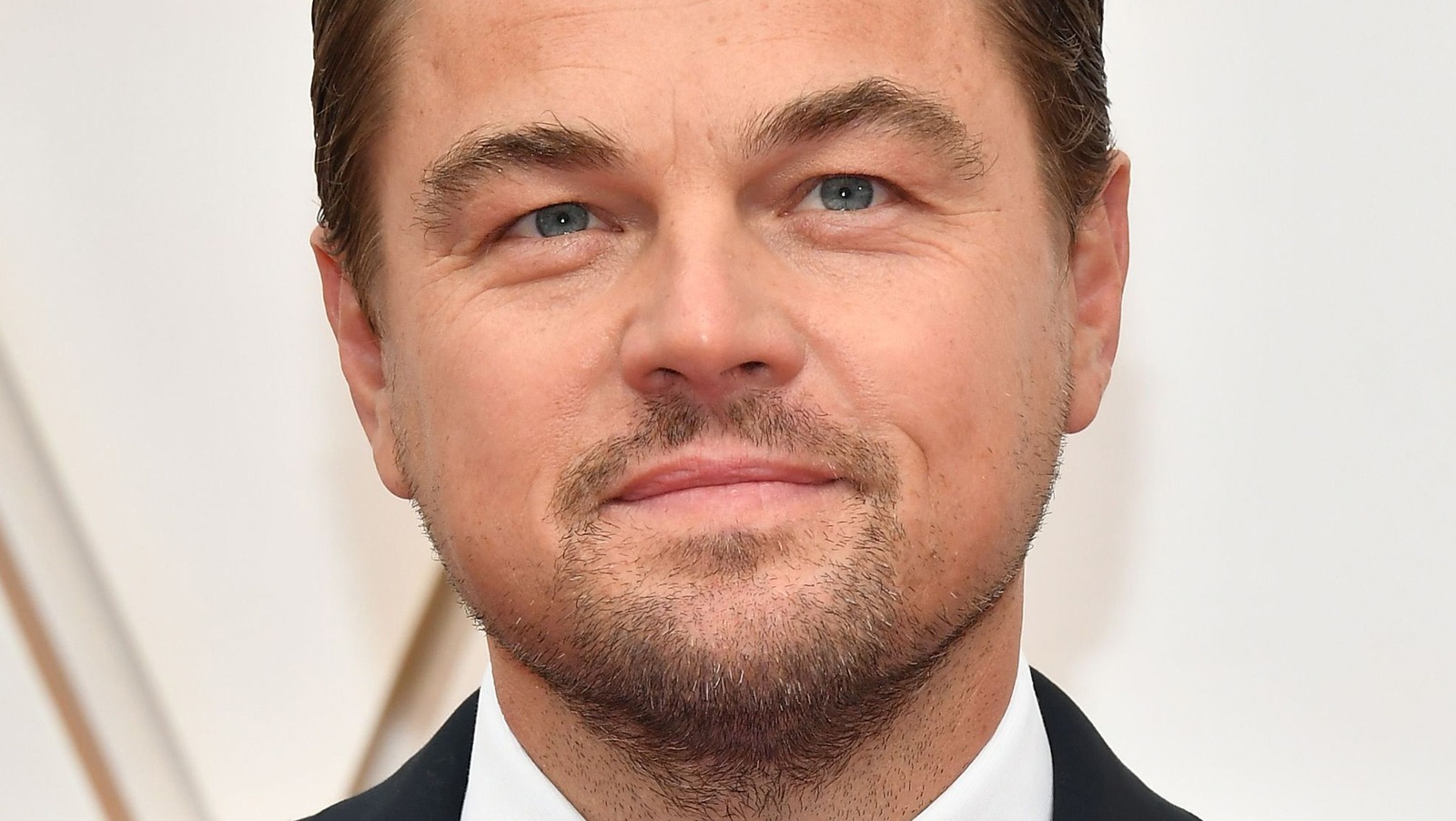 Proof That the Internet Loves Leonardo DiCaprio More than Any Other Actor