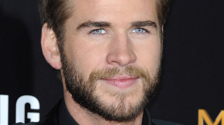 Liam Hemsworth at the "The Hunger Games: Mockingjay Part 2" premiere
