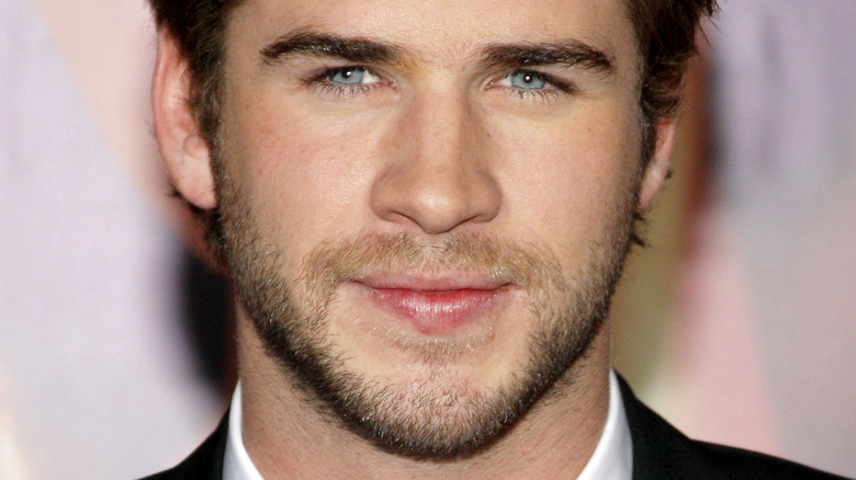 liam hemsworth posing