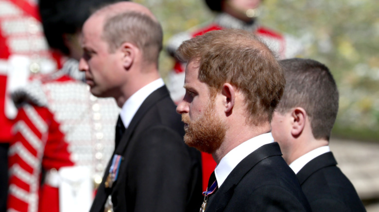 Prince Harry and Prince William