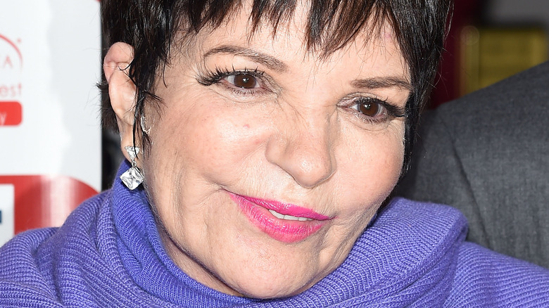 Liza Minnelli in 2015.