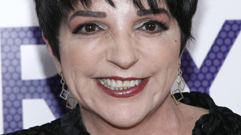 Liza Minnelli at the 2007 premiere of "Hairspray the Musical"