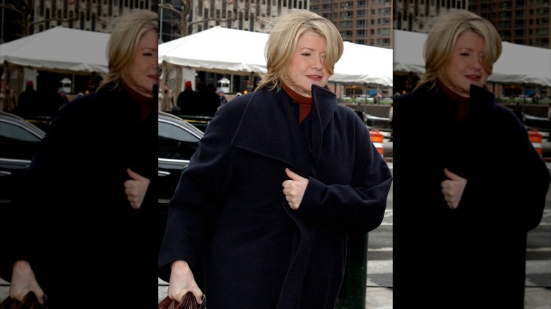 Martha Stewart arriving at federal court