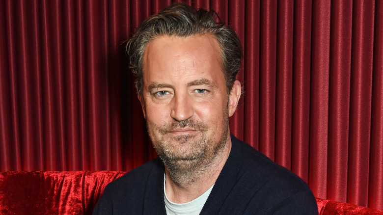 Matthew Perry posing