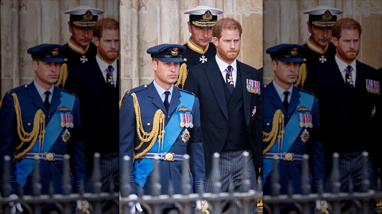 Prince William and Prince Harry standing together in their military finery