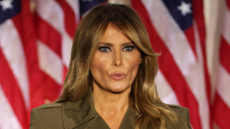 Melania Trump Addressed Donald S Alleged Affair With Stormy Daniels Once Before