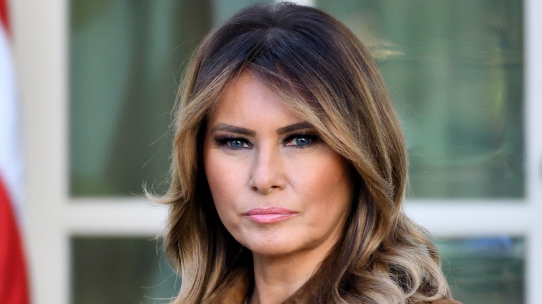 Melania Trump Once Had A Crude Nickname For Stormy Daniels