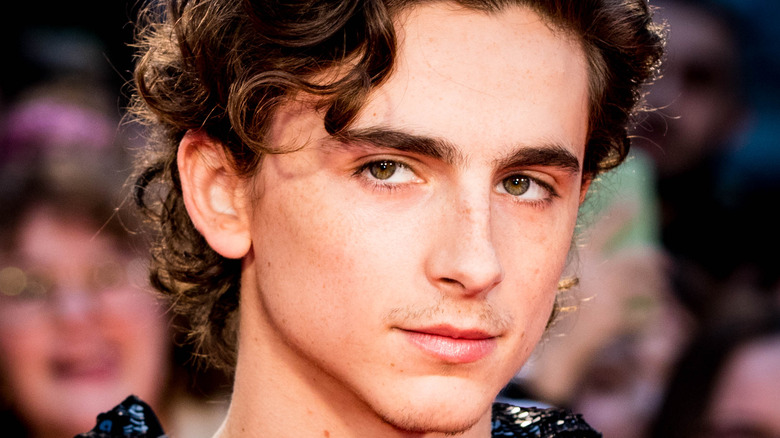 Timothee Chalamet The King premiere