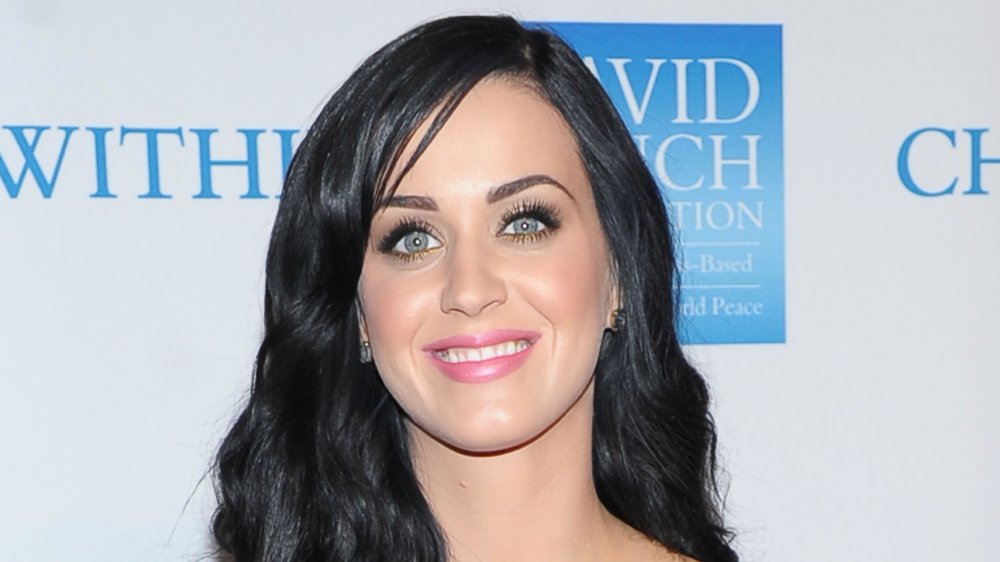 Moments You Missed In Katy Perry's Smile Album