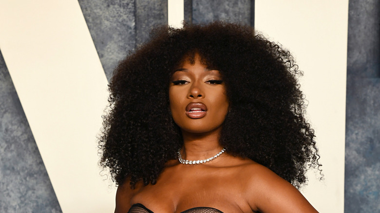Megan Thee Stallion posing