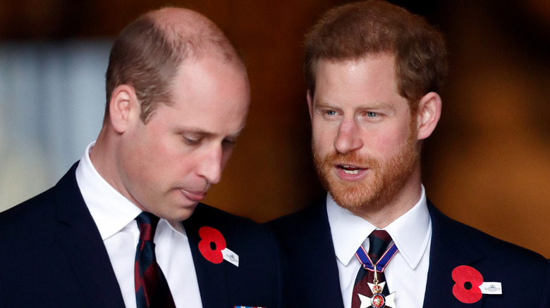 Prince William and Prince Harry talking