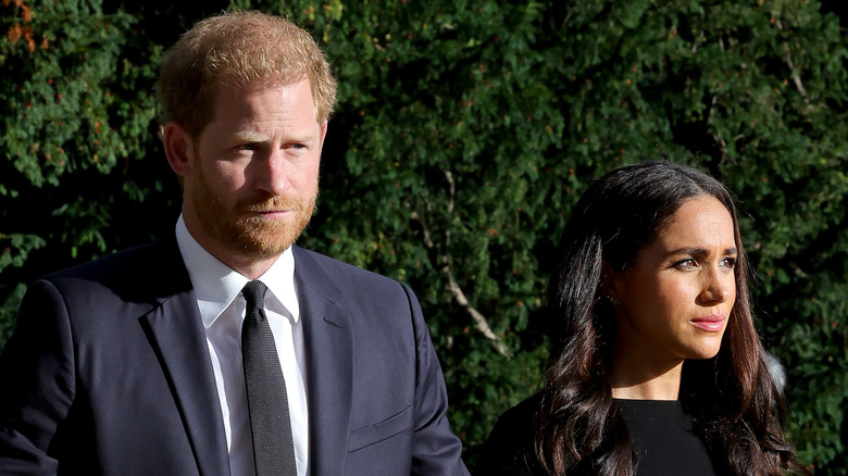 Prince Harry and Meghan Markle stand side by side