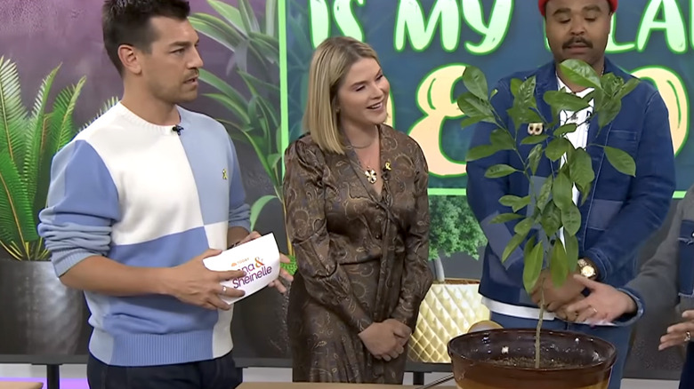 Jenna Bush Hager smiling with a plant in front of her