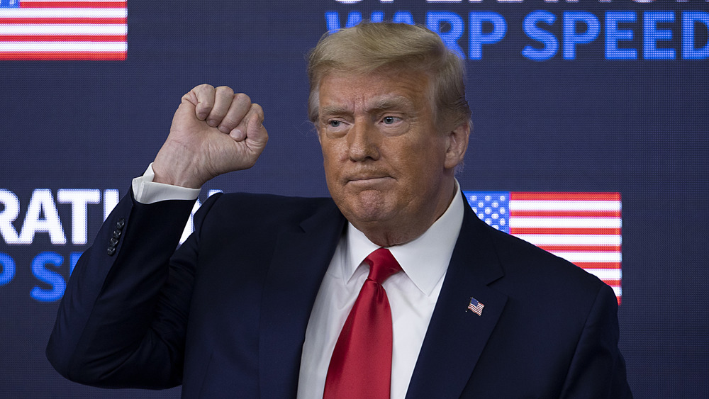 Donald Trump with fist in air