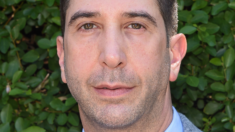 David Schwimmer poses in a gray suit