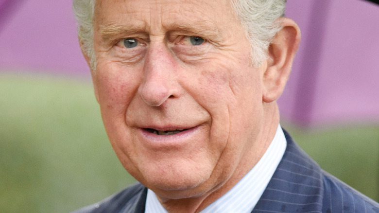 The Prince of Wales, Prince Charles attends royal event in 2017 holding umbrella 