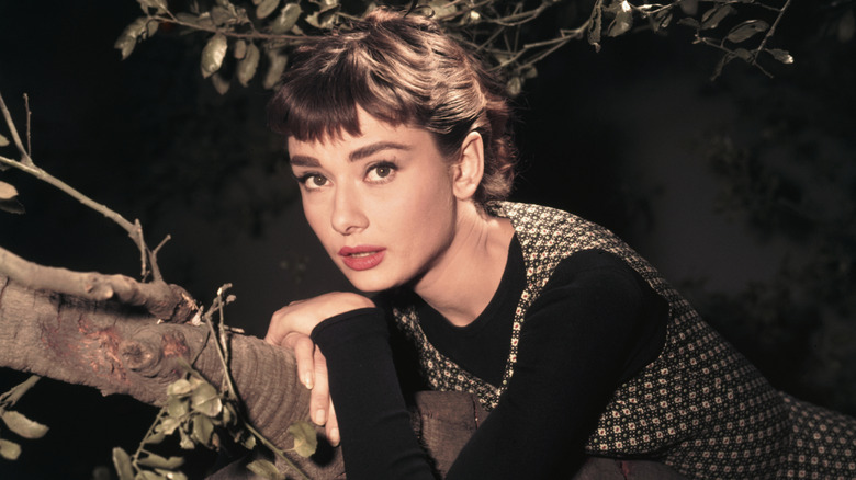Audrey Hepburn leaning on a tree