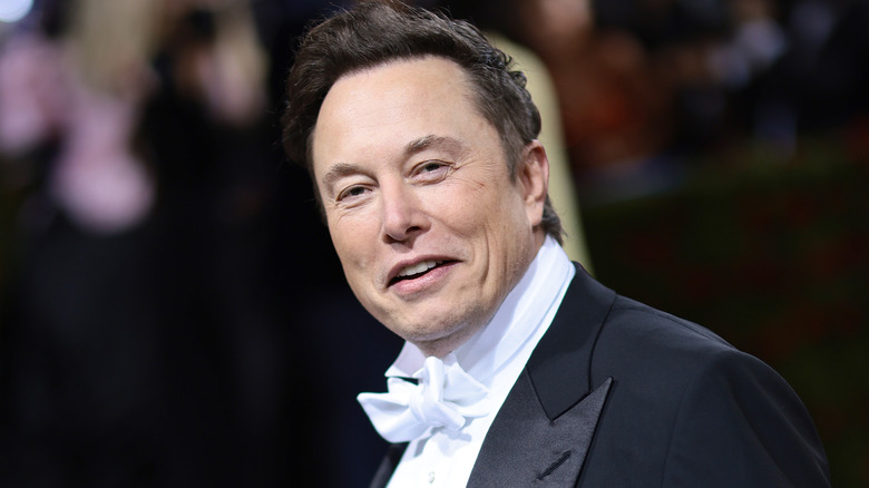 Elon Musk mugging at camera