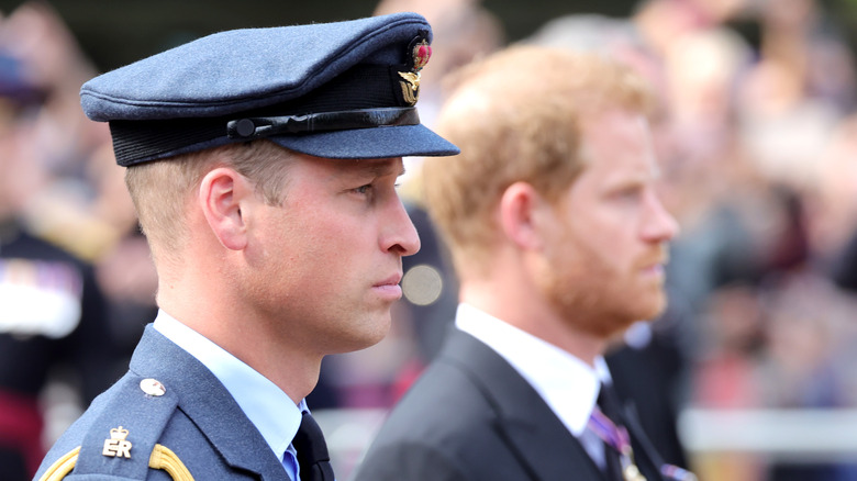 Prince William and Prince Harry at funeral