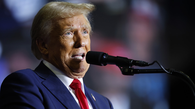 Donald Trump speaking on stage at a Pennsylvania rally.