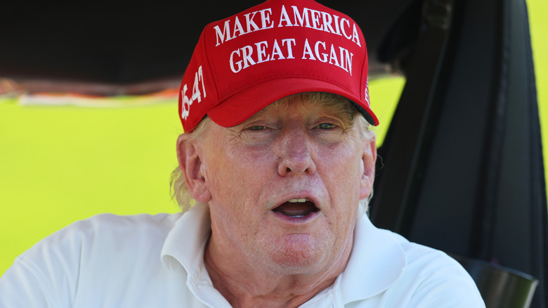 Close up of Donald Trump makeup-free in a red MAGA hat