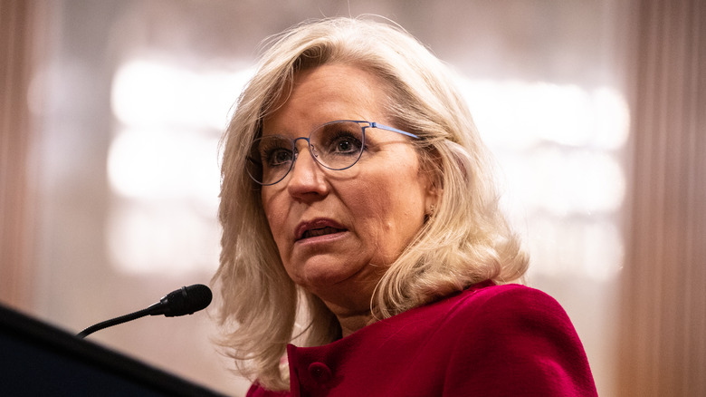 Liz Cheney speaking
