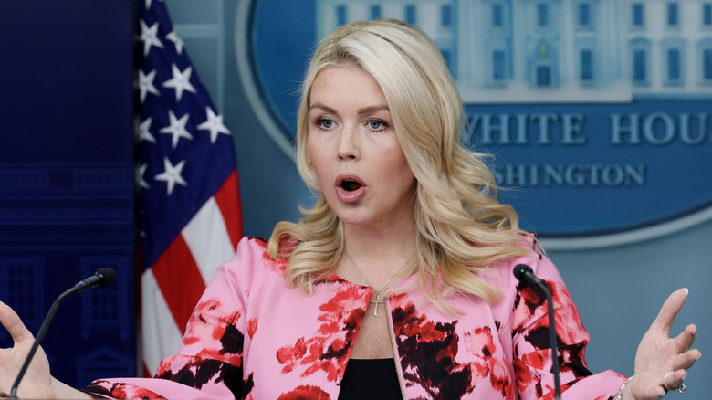 WH Press Secretary Karoline Leavitt addresses reporters