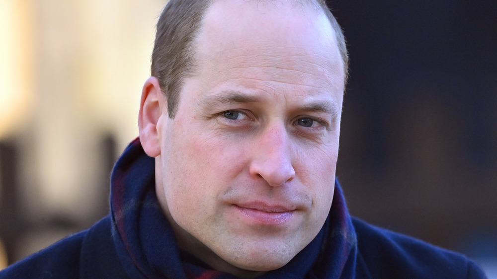 Prince William posing