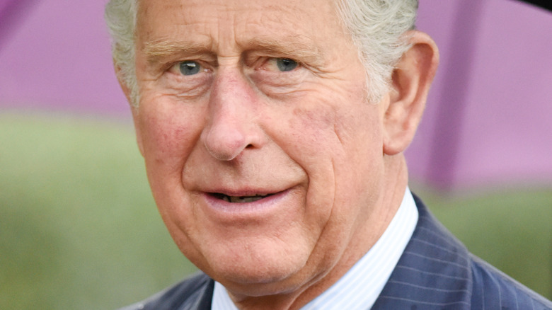 Prince Charles smiling