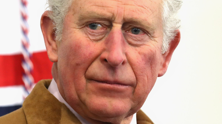 Prince Charles looks concerned