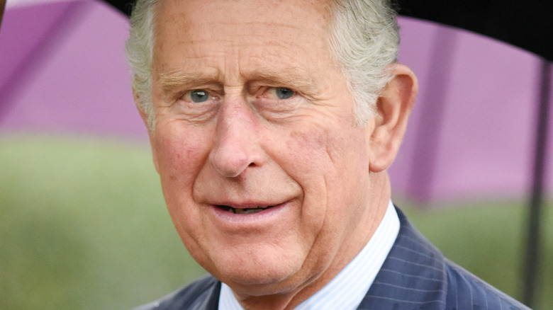 Prince Charles nose