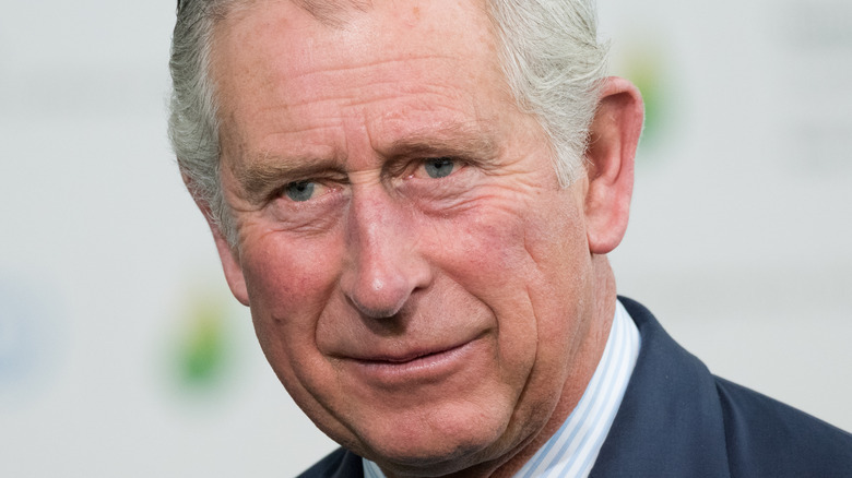 Prince Charles smiles at an engagement