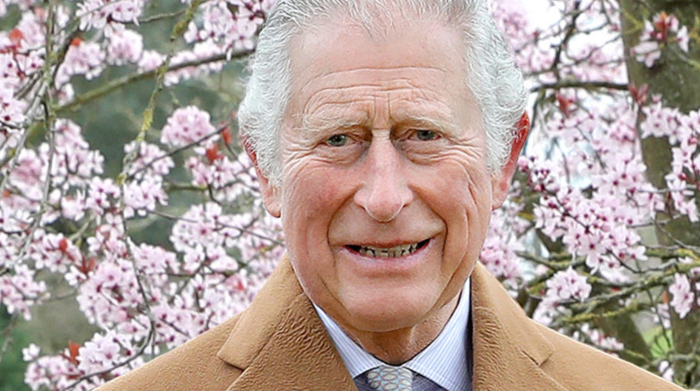 Prince Charles smiling