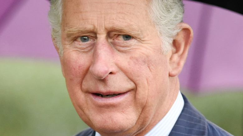 Prince Charles looking serious