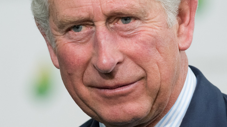 Prince Charles blue eyes