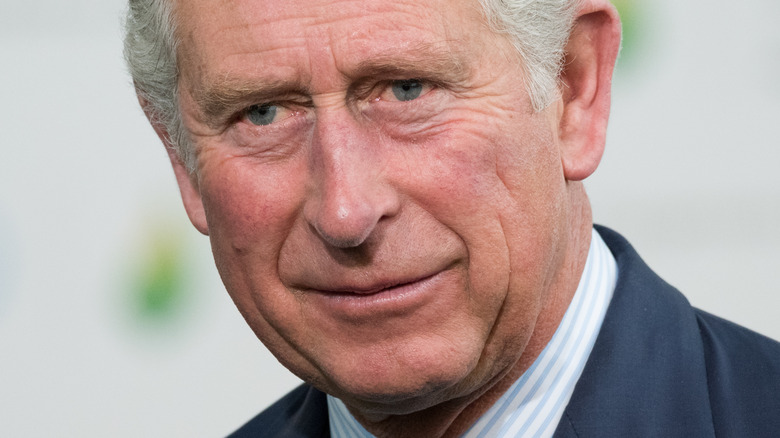 Prince Charles posing