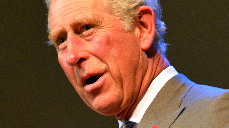 Prince Charles talking