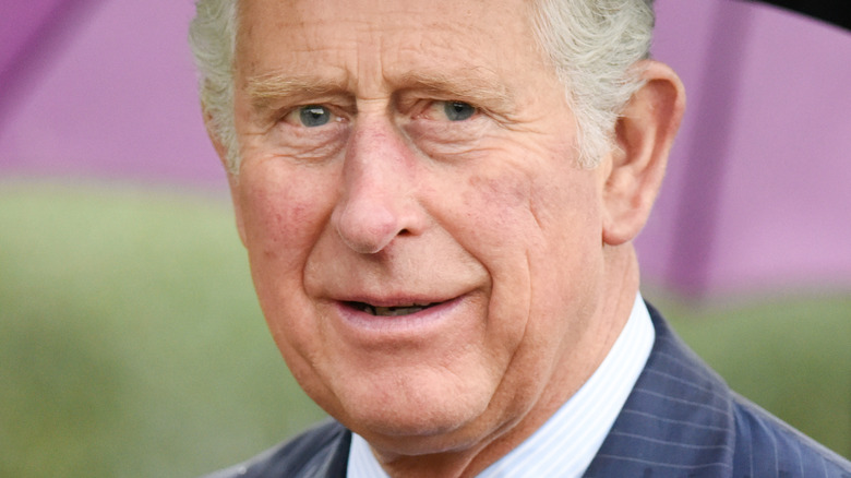 Prince Charles posing